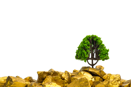 Tree growing on pile of gold nuggets, growth business finance investment concept idea.の写真素材