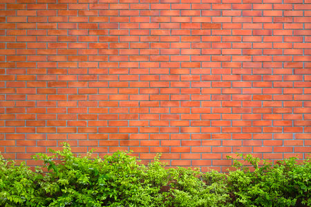 Red brick wall fragment background, texture. or brick layer building with green plant.の写真素材
