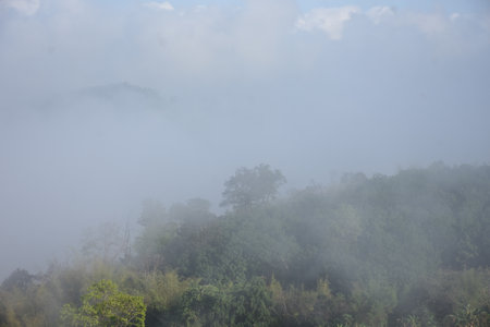Foggy Morning mist at a farm in northern Thailand.