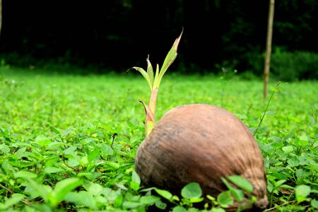 Landscapeの写真素材