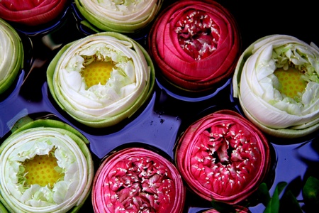 Lotusの写真素材