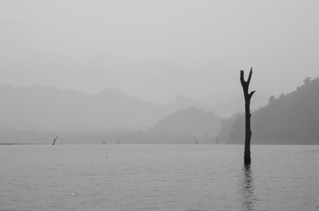 river viewの写真素材
