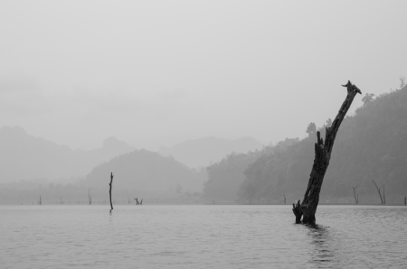 river viewの写真素材