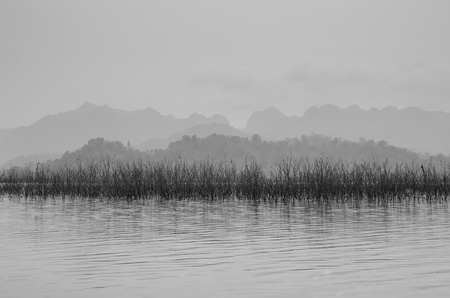 river viewの写真素材