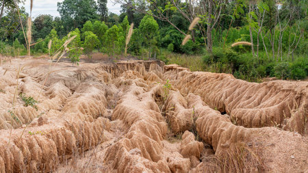 Lalu, Korat: Thailand's Grand Canyon. Stunning eroded sandstone formations create a unique landscape. A must-see! #Thailand #Koratの写真素材