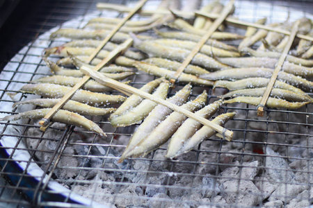 spiny eel,Macrognathus siamenis grilled on roasterの写真素材