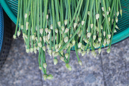 Allium tuberosum,Roxb,Alliaceae in basketの写真素材