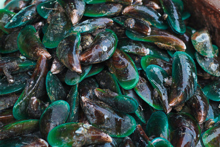 Fresh mussels at the market
