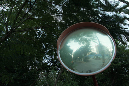 old Traffic mirror on nature