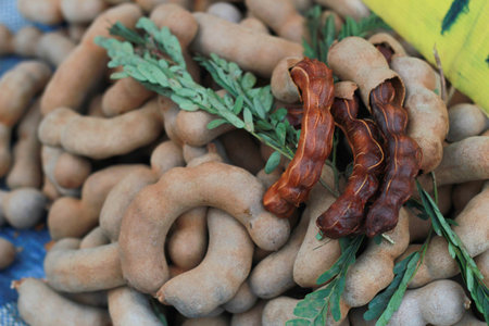 Sweet tamarind in market thailandの写真素材