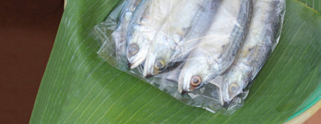 mackerel salted fish in plastic bag on banana leaf backgroundの写真素材