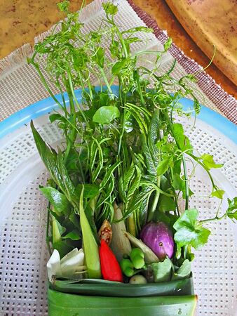 Mix vegetable for making local Northern Thai foodの素材