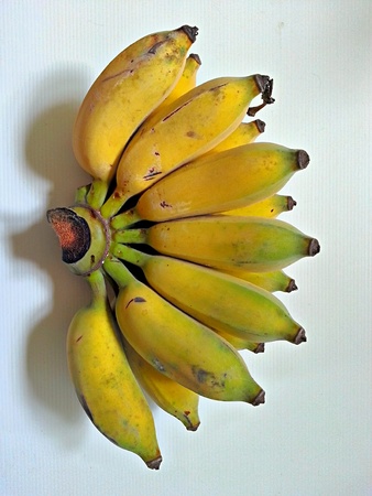 Sugar banana on white backgroundの素材
