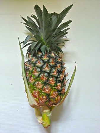 Pineapple on white backgroundの素材