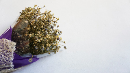 Dead flowersの写真素材