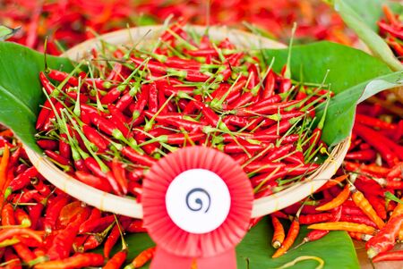 Red chilli in the basket