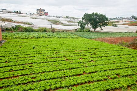 industrial natureの写真素材