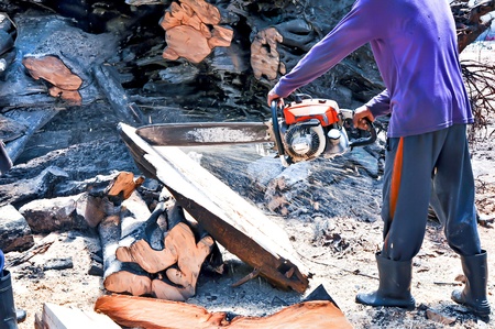 Forestry worker の写真素材