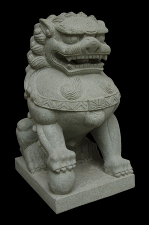 lion guard on black backgroundの写真素材