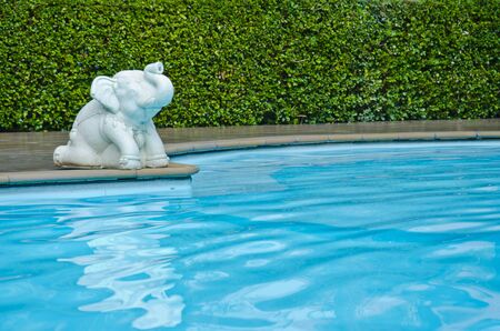 Thai elephant sculpture near swimming poolの写真素材