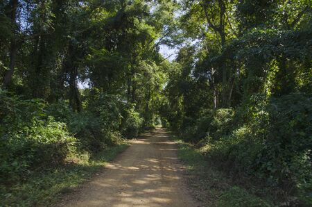road at Don Khone, Siphan Don, Laosの写真素材