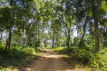 road at Don Khone, Siphan Don, Laosの写真素材