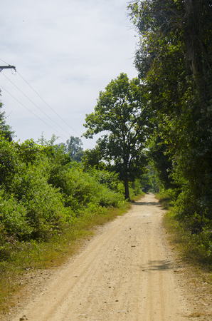 road at Don Khone, Siphan Don, Laosの写真素材
