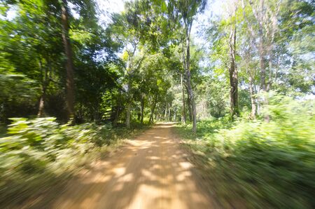 road at Don Khone, Siphan Don, Laosの写真素材