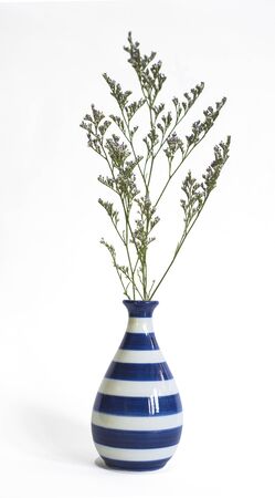 limonium in jug on white backgroundの写真素材
