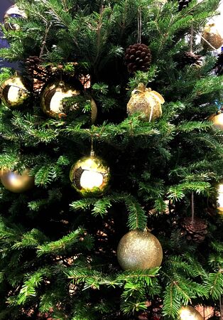 Christmas  tree decorate with golden balls and ornamentsの写真素材