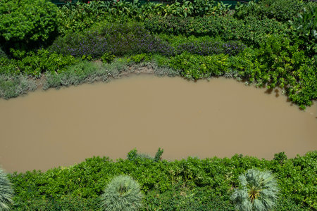 river and tree top view at urbanの写真素材