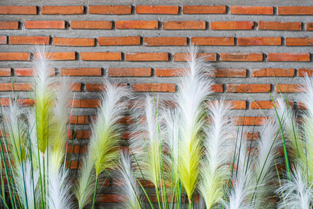 artificial bamboo grass infront of red brick