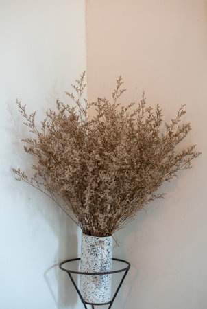 dry flower on the silver potの写真素材