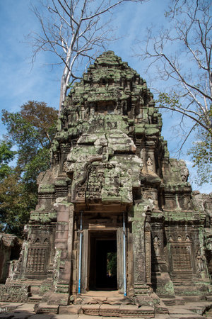 Prasat Ta Prohm, Angkor Thom, Cambodiaの写真素材