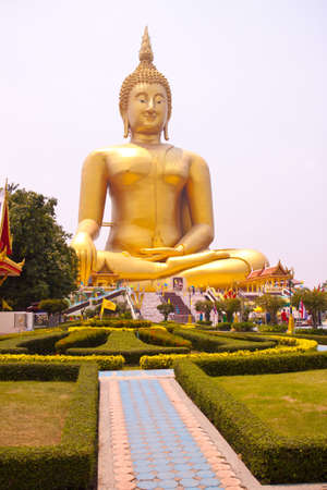People, Spring, Summer, animal, arthropod, background, beautiful, beauty, black, bloom, blossom, brown, bug, cactus, close, closeupの写真素材