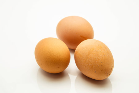 These chicken egg production can lead to a variety of species  There are severalの写真素材
