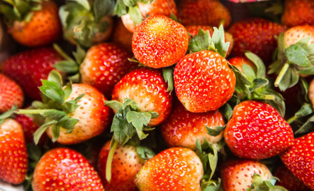 strawberriesの写真素材