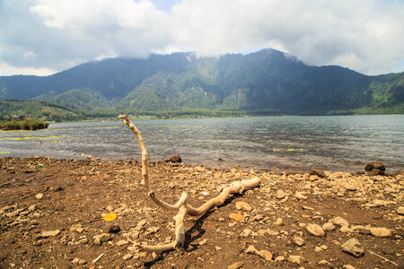 Twigs the lake Rub on the Island of Bali Through the clouds that coveredの写真素材
