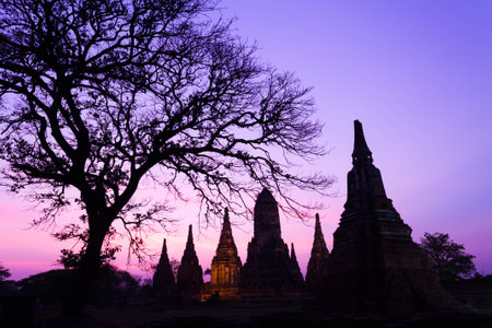 Wat Chaiwatthanaram is a Buddhist temple in the city of Ayutthaya and big treeの写真素材