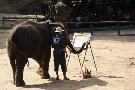 Elephant painting show at Maesa elephant campのeditorial素材