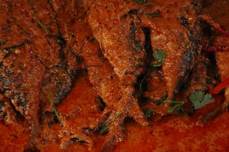 red curry topping on scomber mackerel fishesの写真素材