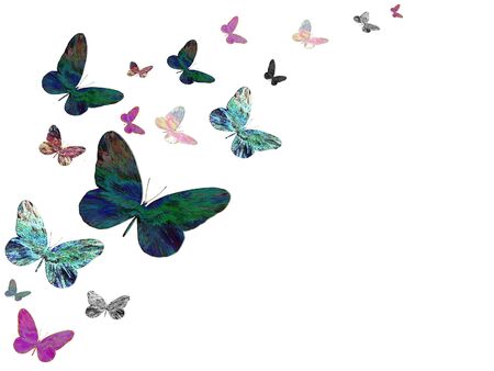 butterfly designの写真素材