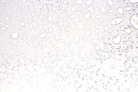 abstract water drops on a white backgroundの写真素材
