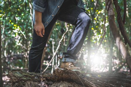 Leg of hiker in forest. Traveler is crossing log in forest.の写真素材