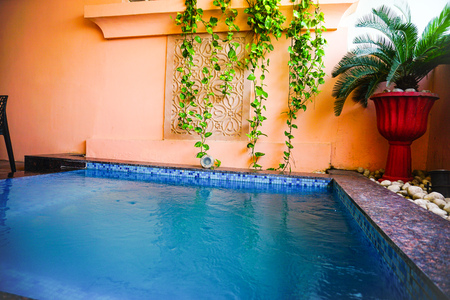 india - jaipur - hotel royal orchid - september 9, 2019, whirlpool is full of dark blue water behind it some vines hangs and a plant is in potのeditorial素材