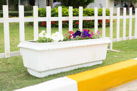 tree and grass in concrete planter.の写真素材