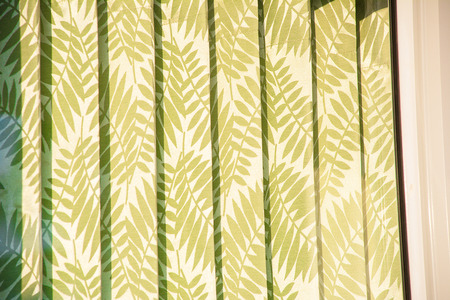 Window blindsの写真素材