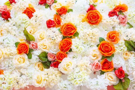 flower backdropの写真素材