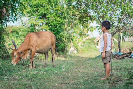 Happy kids feeding cows on a farm. Little boy feed cow on a country field in summer. Farmer children play with animals. Child and animal friendship. Family fun in the countryside.の写真素材