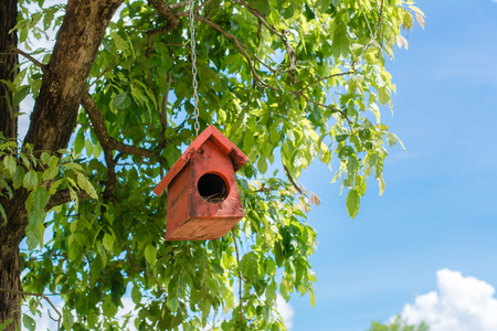 Birdhouse on sky background.Background concept.の写真素材